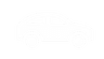 EV Car