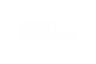 Heavy Vehicle